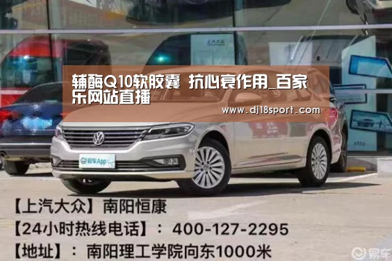 百家乐网站