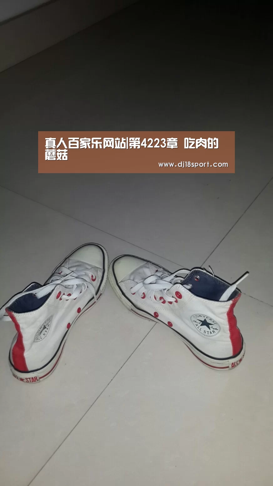 百家乐网站