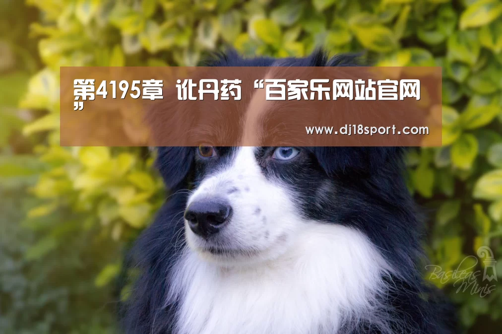 百家乐网站